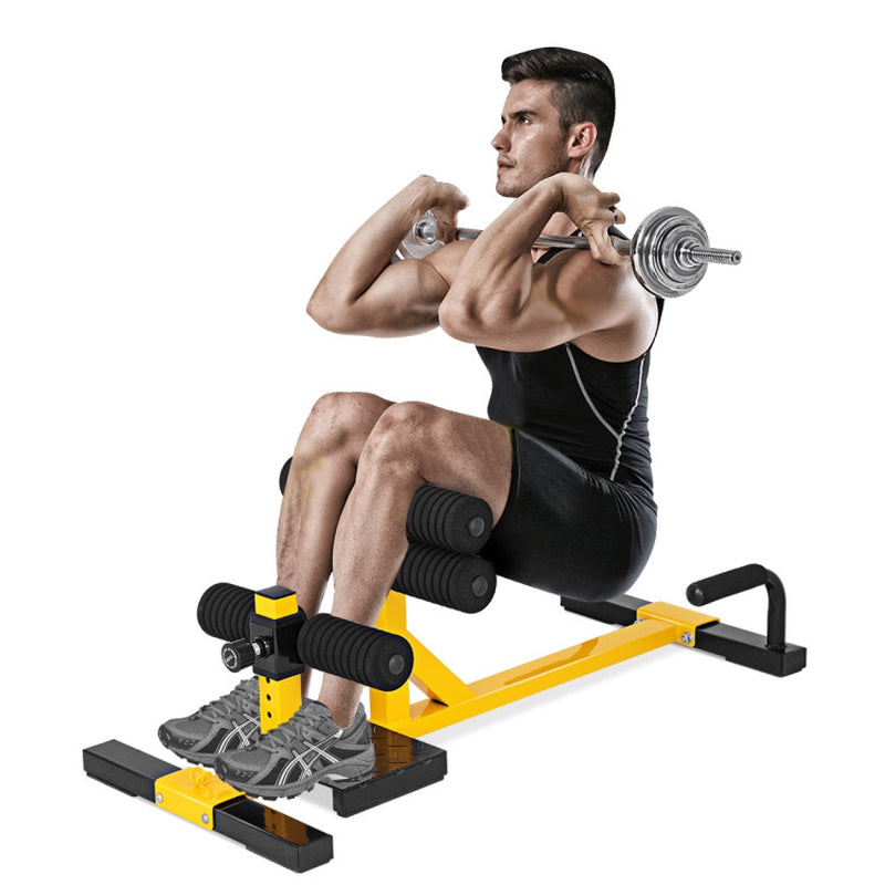 3-In-1 Sissy Squat Ab Workout Home Gym Sit-Up Machine