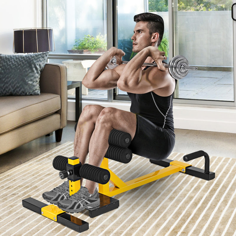 3-In-1 Sissy Squat Ab Workout Home Gym Sit-Up Machine